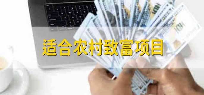 适合农村致富项目 在农村有哪些致富项目