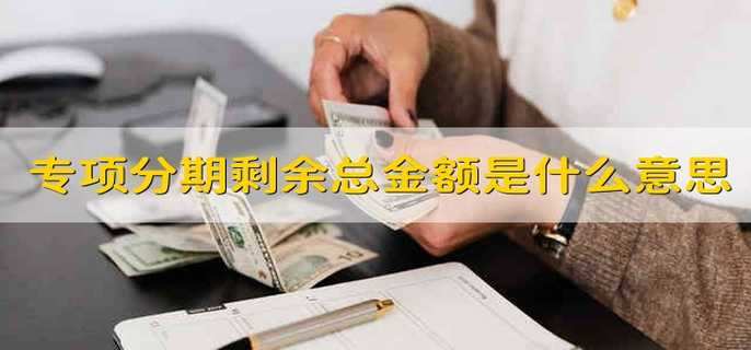 专项分期剩余总金额是什么意思