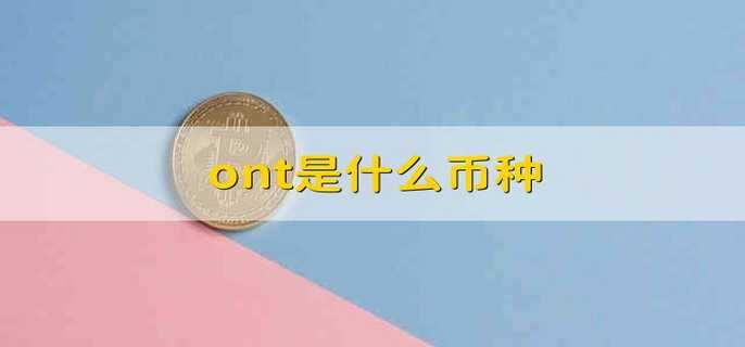 ont是什么币种