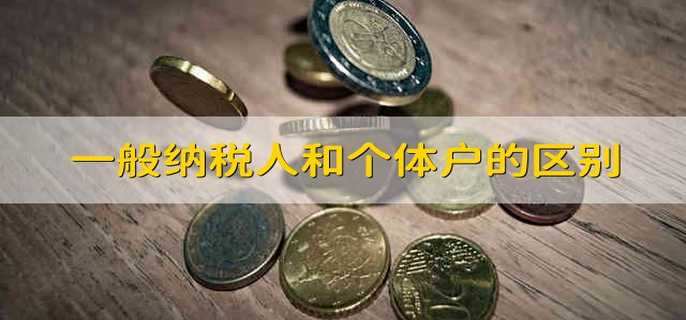 一般纳税人和个体户的区别