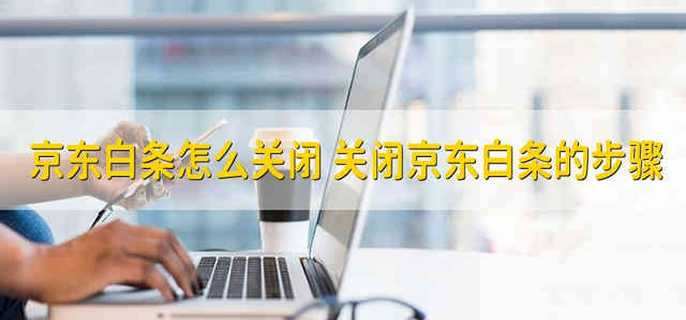 京东白条怎么关闭 关闭京东白条的步骤