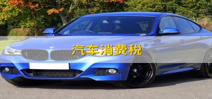 汽车消费税 汽车的消费税是怎么算的