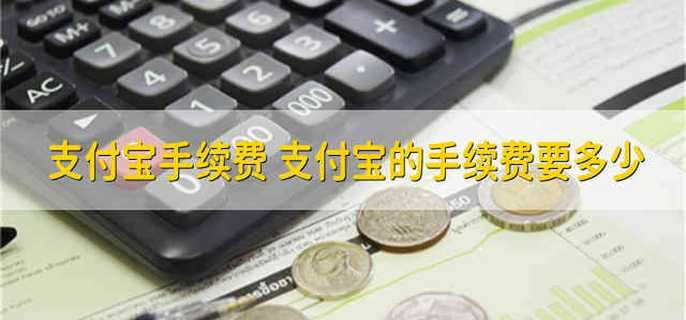 支付宝手续费 支付宝的手续费要多少