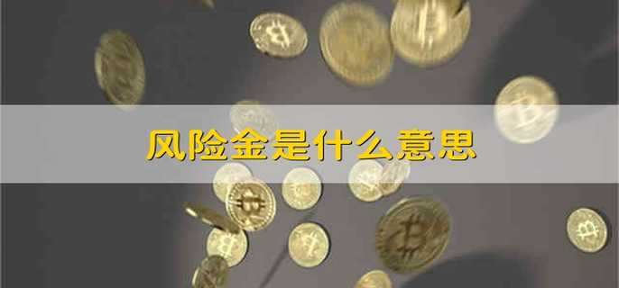 风险金是什么意思