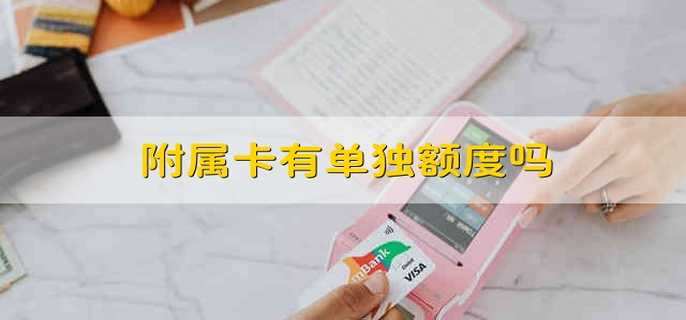 附属卡有单独额度吗