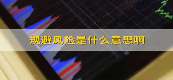 规避风险是什么意思啊