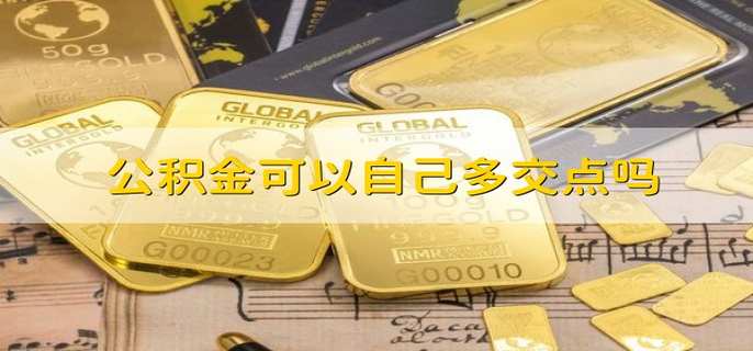 公积金可以自己多交点吗