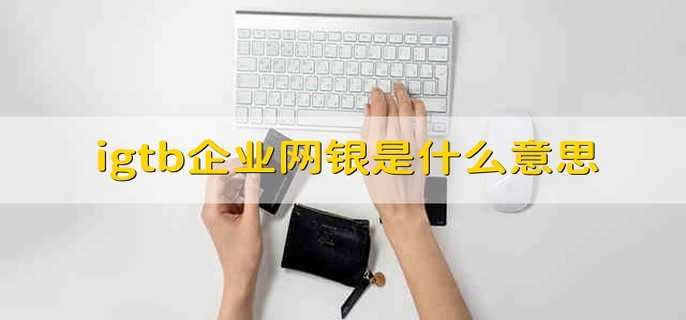 igtb企业网银是什么意思