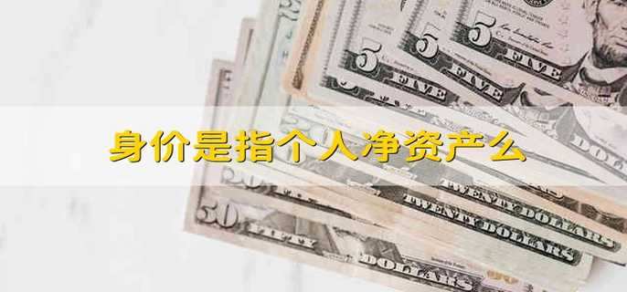 身价是指个人净资产么