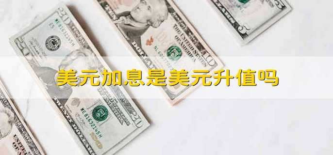 美元加息是美元升值吗