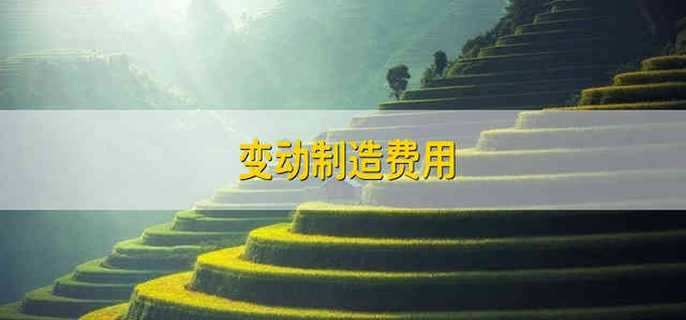 变动制造费用 变动性制造费用是什么