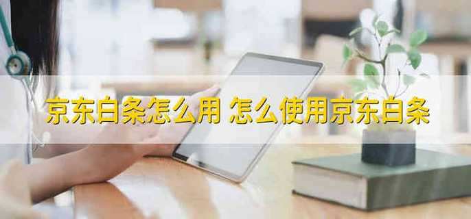 京东白条怎么用 怎么使用京东白条