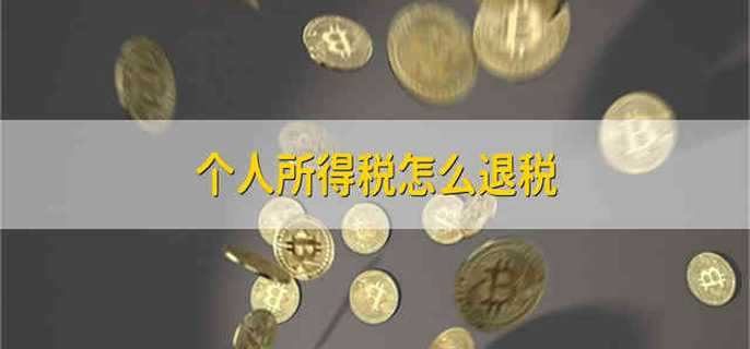 个人所得税怎么退税