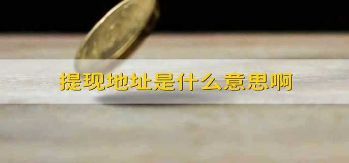 提现地址是什么意思啊