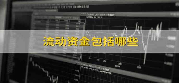 流动资金包括哪些