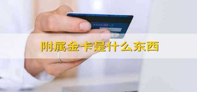 附属金卡是什么东西