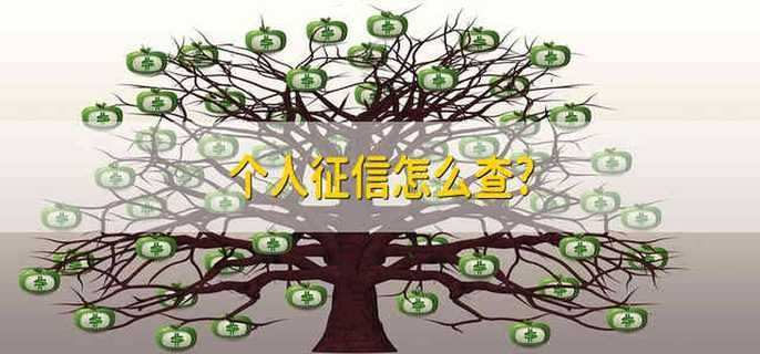 个人征信怎么查?