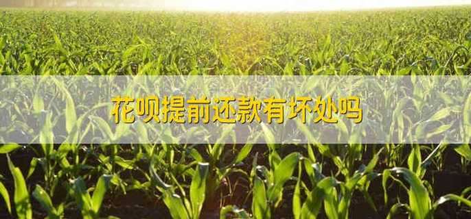 花呗提前还款有坏处吗 提前还花呗有影响吗