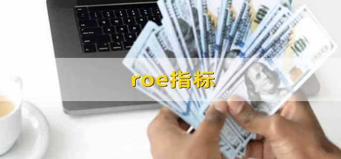 roe指标