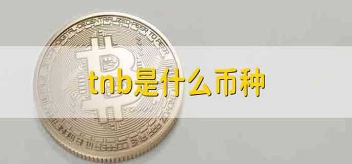 tnb是什么币种
