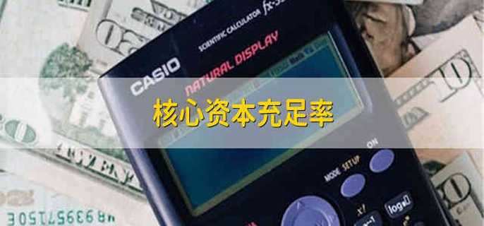核心资本充足率 核心资本的充足率是什么