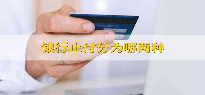 银行止付分为哪两种