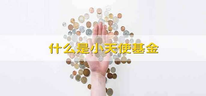 什么是小天使基金