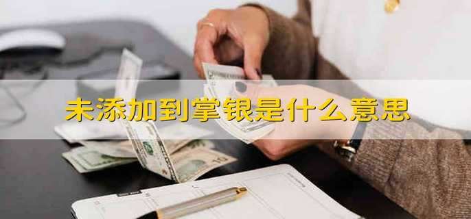 未添加到掌银是什么意思