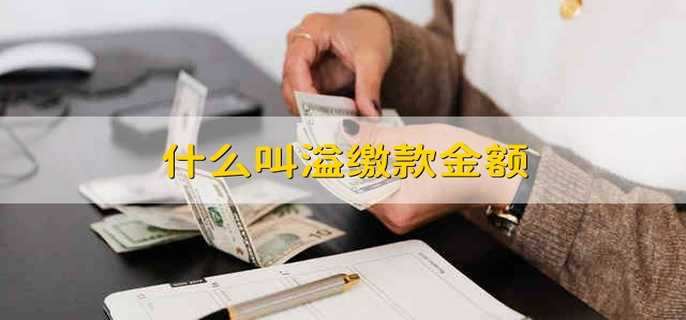 什么叫溢缴款金额