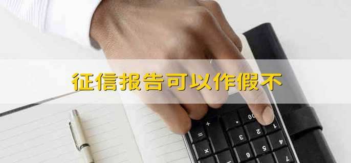 征信报告可以作假不