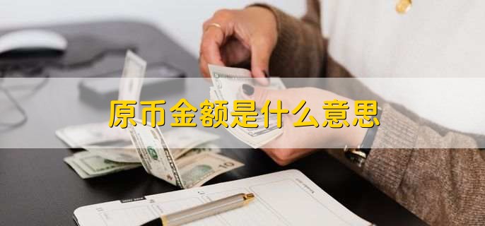 原币金额是什么意思