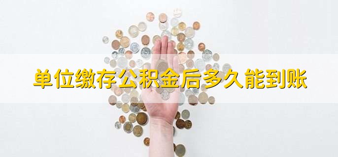 单位缴存公积金后多久能到账