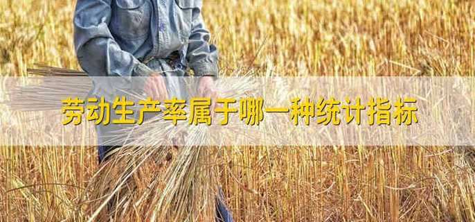 劳动生产率属于哪一种统计指标