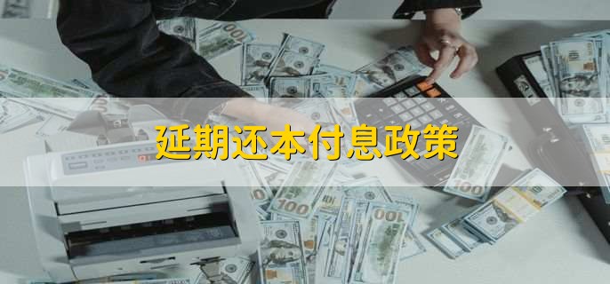 延期还本付息政策