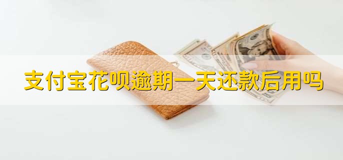 支付宝花呗逾期一天还款后还能继续使用吗