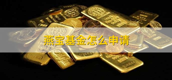 燕宝基金怎么申请