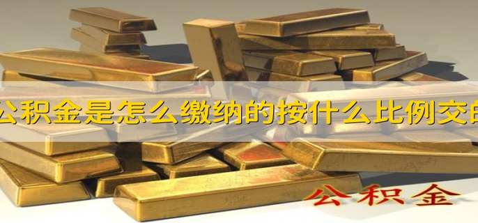 公积金是怎么缴纳的按什么比例交的
