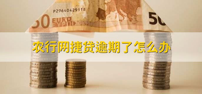 农行网捷贷逾期了怎么办？