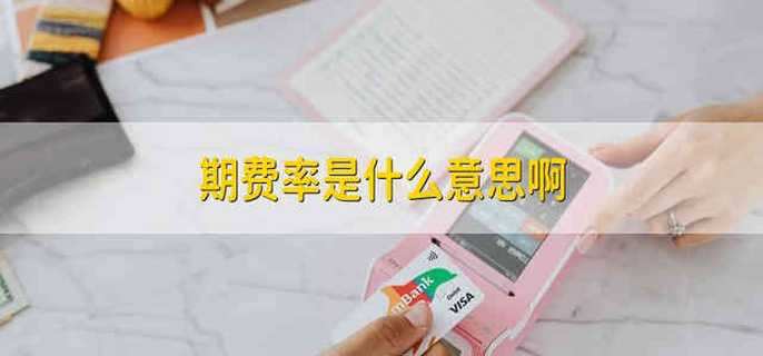 期费率是什么意思啊