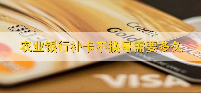 农业银行补卡不换号需要多久