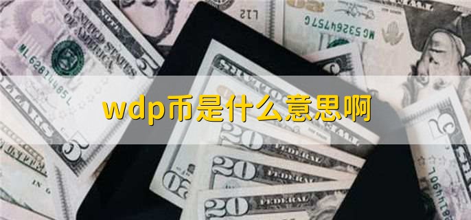 wdp币是什么意思啊