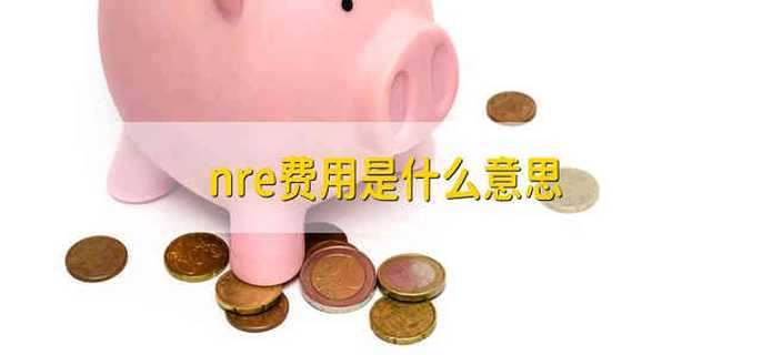 nre费用是什么意思