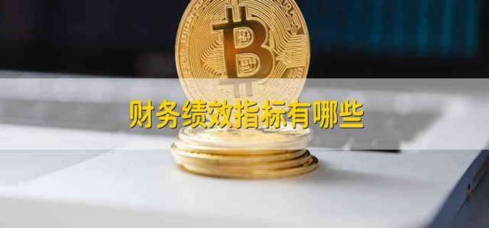 财务绩效指标有哪些