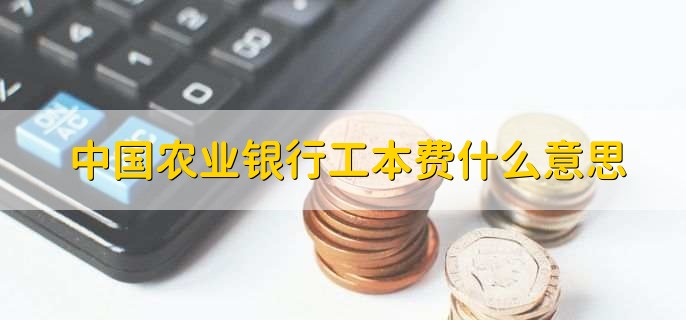 中国农业银行工本费什么意思