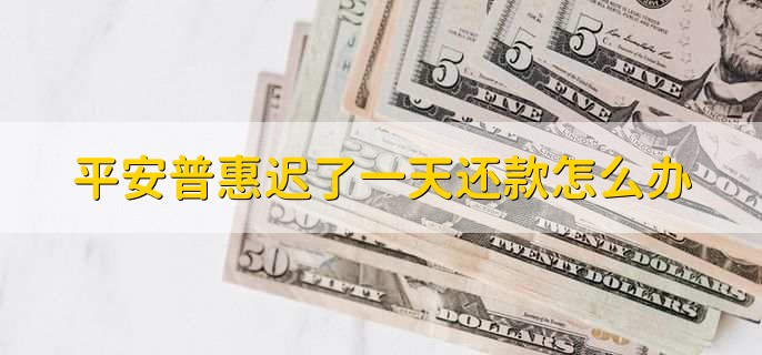 平安普惠迟了一天还款怎么办