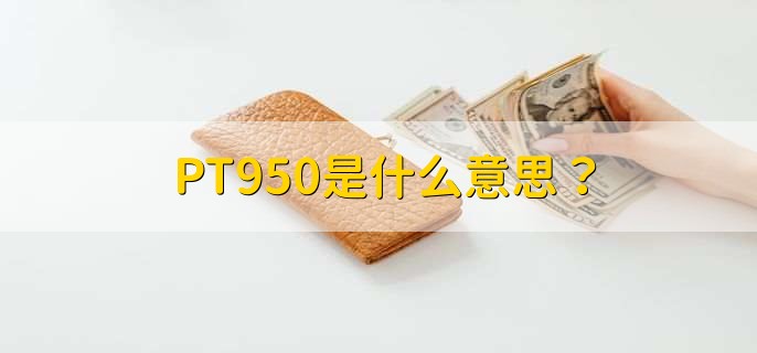 PT950是什么意思?