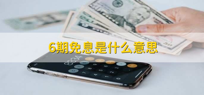 6期免息是什么意思