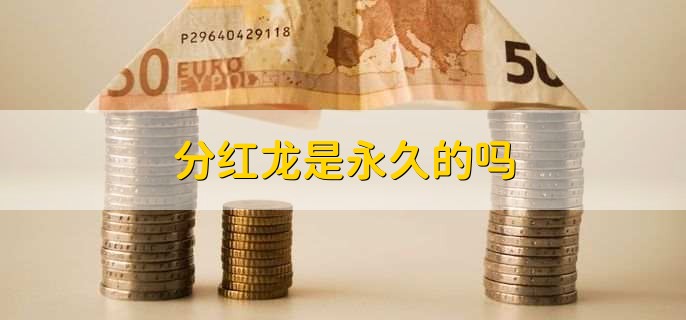 分红龙是永久的吗?