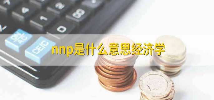 nnp是什么意思经济学