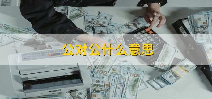 公对公什么意思